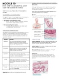 MODULE 10: HOW ARE YOU DIGESTING ANAT 100? THE DIGESTIVE SYSTEM