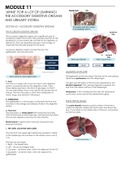 MODULE 11 : ‘URINE’ FOR A LOT OF LEARNING! THE ACCESSORY DIGESTIVE ORGANS AND URINARY SYSTEM