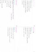 NSC Biology Flashcards: Human Evolution