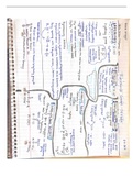 Functional Groups with Oxygen 