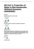 HB Unit 3 Properties of Water & Macromolecules (Without Enzymes)(DIAGRAMS)