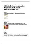 HB Unit 3 Macromolecules diagrams 2025 latest update(graded A+)