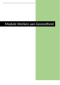 PLP2/PLP3 Uitwerking Module Werken aan Gezondheid beoordeeld met een 9!