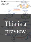 Summary  Human anatomy- axial skeleton 