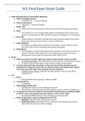 N3: Final Exam Study Guide