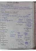 Comprehensive "Neet Notes  On Animal Kingdom "