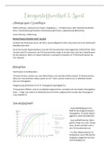 Energiestoffwechsel Biologie, gymnasiale Oberstufe Zusammenfassung, Lernzettel