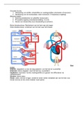 Medische anatomie samenvatting Hogeschool Leiden HBO-V