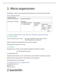 taak bacteriën en virussen 