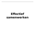 Verslag effectief samenwerken