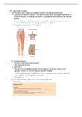 Samenvatting alle colleges periode 1.3 Fontys Fysiotherapie