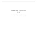 NURS 316L COMMUNITY EXPERIENCE PAPER