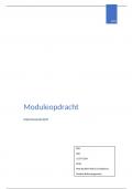 Moduleopdracht Riskmanagement (cijfer 9)