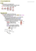 Cell Cycle Notes