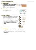 Cell Membrane and Transport Notes