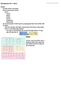 Macromolecules: Protein Structure Notes