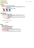 Enzymes and Cellular Energy Notes