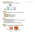 Cell Structure & Function Notes