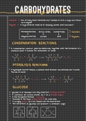 A level biology AQA Biological molecules