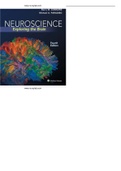 Neuroscience Exploring the Brain 4th Edition Bear Test Bank