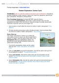 SCIENCE 101_ CARBON CYCLE GIZMO (Complete and Full Answers to Questions from Activities A, B, and C) Graded A