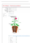 BIO 124 Week 3 Plant Structure Lab Report