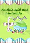 Biochemistry of nucleic acids and nucleotides