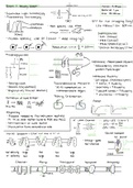 Cell Biology Study Guides (7.06)