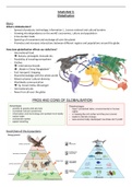 Summary “Globalisation” (Abitur study sheet: English LK NRW)