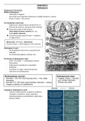 Summary “Shakespeare” (Abitur learning sheet: English LK NRW)