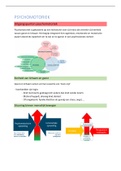 Kinesitherapie bij kinderen 2022 (alles leerstof heel overzichtelijk weergegeven per ziekte/aandoening)