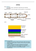 Fungal Cell Composition