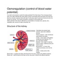 Homeostasis - Osmoregulation NOTES AND QUESTIONS AQA A Level Biology 