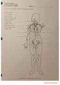 Ch 14 diagram quiz