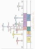 EJE CRONOLOGICO DESDE 1770 A 1840