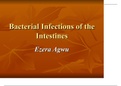 Bacterial Infections of the Intestines