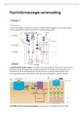 Overzichtelijke samenvatting van het vak psychofarmacologie