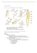 nieuwe samenvatting van het vak neuroanatomie en fysiologie in het jaar 2021-2022