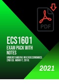 ECS1601 EXAM PACK 2022