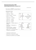 Samenvatting HL Levenscyclus van de mens H1 t/m 5