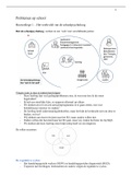 Samenvatting Problemen op School van de Master Klinische Ontwikkelingspsychologie