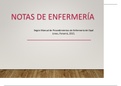 Notas de enfermería y ejemplos 