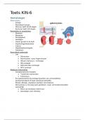 samenvatting van toetstof voor KIN-6 aan de amstelaccademie