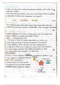 Unit Nucleic Acids Reading Notes Biology Higher Level (HL) from Kognity