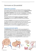 Hormonen & Zenuwstelsel VWO-Bovenbouw| Samenvatting