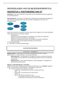 TEW/HIR - Samenvatting Grondslagen van de Beleidsinformatica [D0T06a]  - 6.5/7.5 op meerkeuzevragen DEEL 1