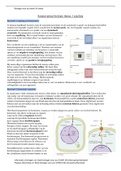 Samenvatting thema 1 REGELING (5vwo biologie voor jou) 2022