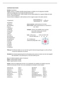 LSC jaar 1 periode 1 basischemie en dataverwerking samenvatting