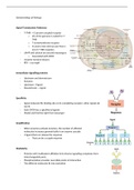 Cell biology - BM10 - knowlegde test 1