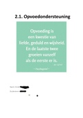 2.1. Opvoedondersteuning